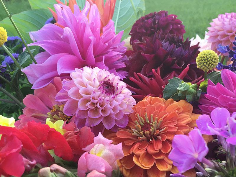 How to choose the best birthday flowers